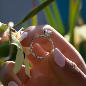 The Pave Kamellie Set With A Princess Moissanite