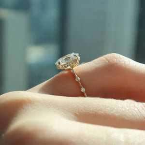 The Hidden Halo Penelope Set With A 1 Carat Oval Lab Diamond