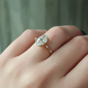 The Hidden Halo Penelope Set With A 1 Carat Oval Lab Diamond