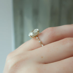 The Hidden Halo Penelope Set With A 1 Carat Oval Lab Diamond