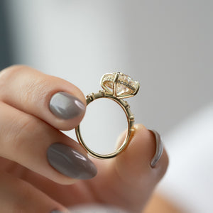 The Hidden Halo Penelope Set With A Round Moissanite