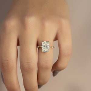 The Hidden Halo Penelope Set With A Radiant Moissanite