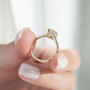The Pave Maia Set With A 2.5 Carat Round Moissanite
