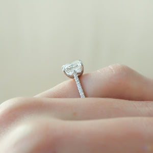 The Lexie Set With A 4.5 Carat Princess Moissanite