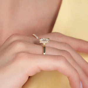 The Eleanor Set With A 3 Carat Elongated Cushion Lab Diamond