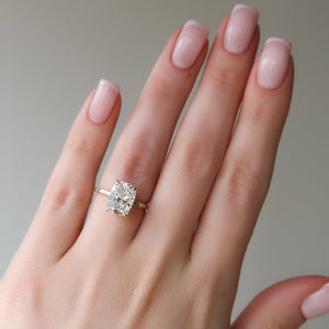 The Eleanor Set With A 3 Carat Elongated Cushion Lab Diamond