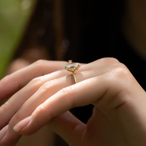 The Alison Set With A Oval Moissanite
