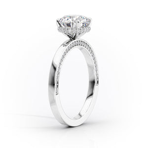 The Sydney Set With A Princess Moissanite