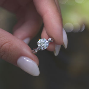 The Twig - Engagement Ring Made in White Gold