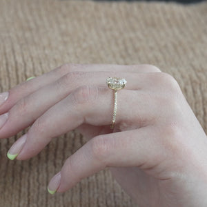 The Pave Kamellie - Engagement Ring Made in Yellow Gold