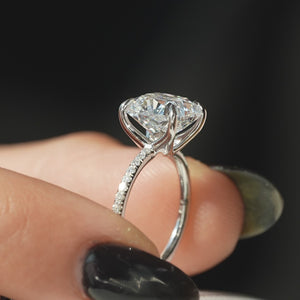 The Pave Ashley - Engagement Ring Made in White Gold